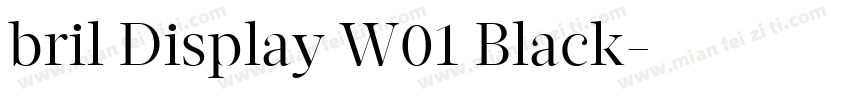 bril Display W01 Black字体转换